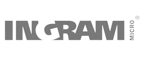 Ingram micro