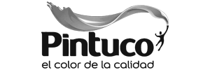 logo pintuco