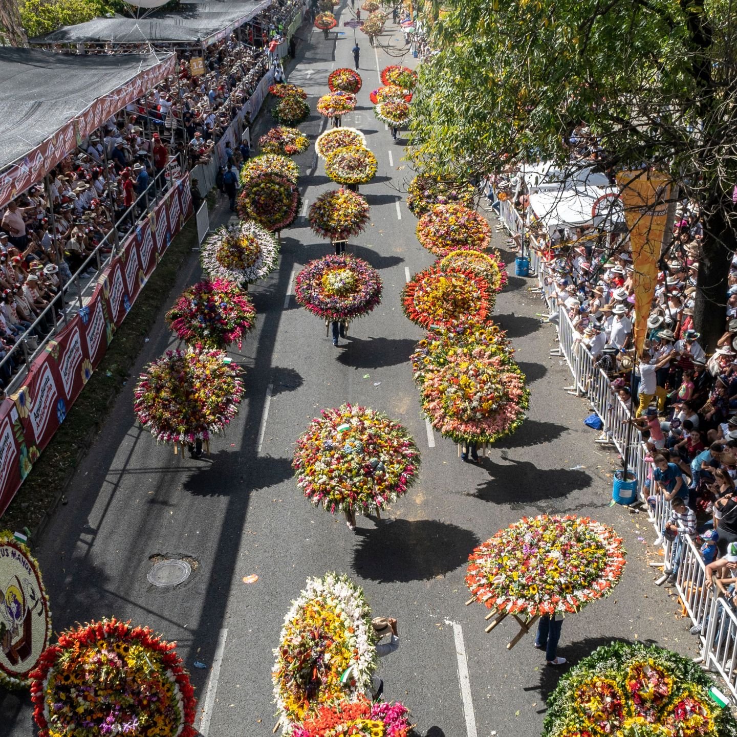 Feria de Flores (7)